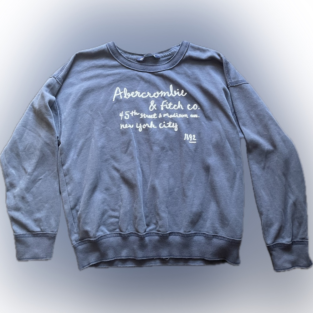 Abercrombie & Fitch Blue Crewneck Sweater